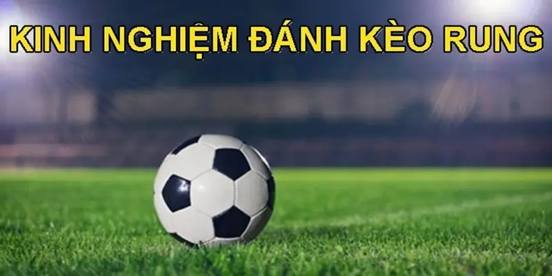 Cân nhắc kỹ khi đặt cược để giảm thiểu rủi ro