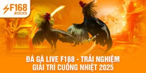 Đá Gà Live F168 - Trải Nghiệm Giải Trí Cuồng Nhiệt 2025