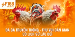Đá Gà Truyền Thống - Thú Vui Dân Gian Có Lịch Sử Lâu Đời
