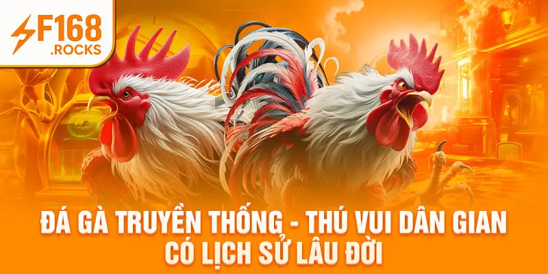Đá Gà Truyền Thống - Thú Vui Dân Gian Có Lịch Sử Lâu Đời