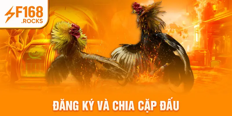 Đăng ký và chia cặp đấu