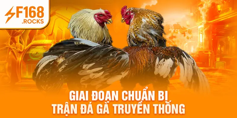 Giai đoạn chuẩn bị trận đá gà truyền thống