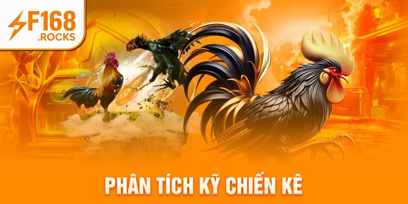 Phân tích kỹ chiến kê
