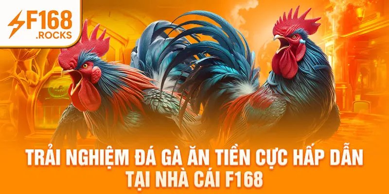 Trải Nghiệm Đá Gà Ăn Tiền Cực Hấp Dẫn Tại Nhà Cái F168
