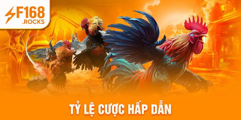 Tỷ lệ cược hấp dẫn