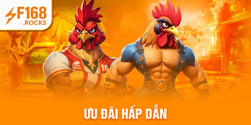 Ưu đãi hấp dẫn