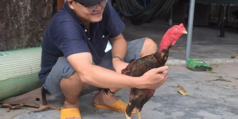 Giải thích vị trí sát kê đẳng cấp